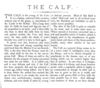 Thumbnail 0012 of Domestic animals