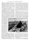 Thumbnail 0010 of Bear stories