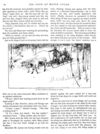 Thumbnail 0026 of Bear stories