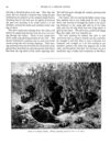 Thumbnail 0042 of Bear stories