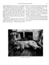 Thumbnail 0045 of Bear stories