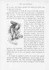 Thumbnail 0041 of Rip Van Winkle