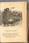 Thumbnail 0171 of Bajki i powiastki Stanisława Jachowicza