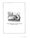 Thumbnail 0103 of Letters from a cat