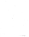 Thumbnail 0109 of Letters from a cat