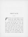 Thumbnail 0007 of Autobiography of a robin