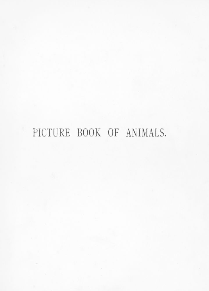 Scan 0003 of Picture book of animals