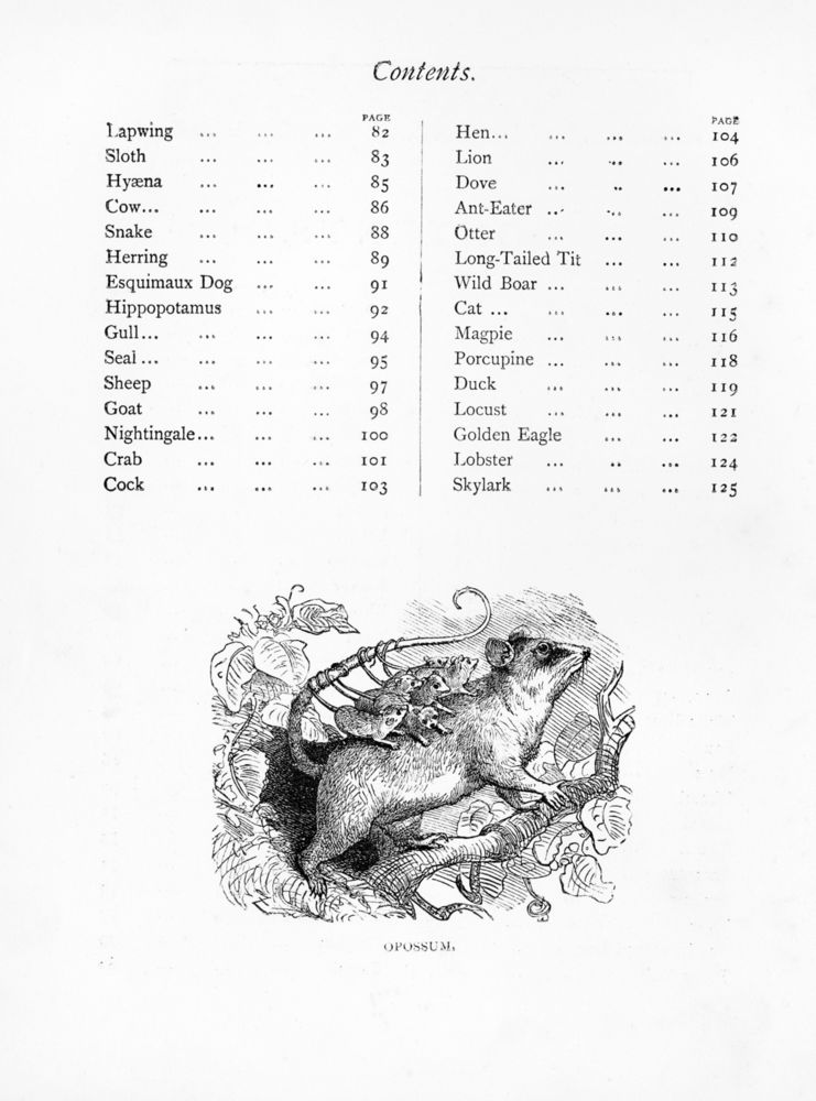 Scan 0007 of Picture book of animals