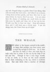 Thumbnail 0012 of Picture book of animals