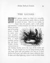 Thumbnail 0038 of Picture book of animals