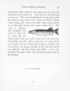 Thumbnail 0040 of Picture book of animals