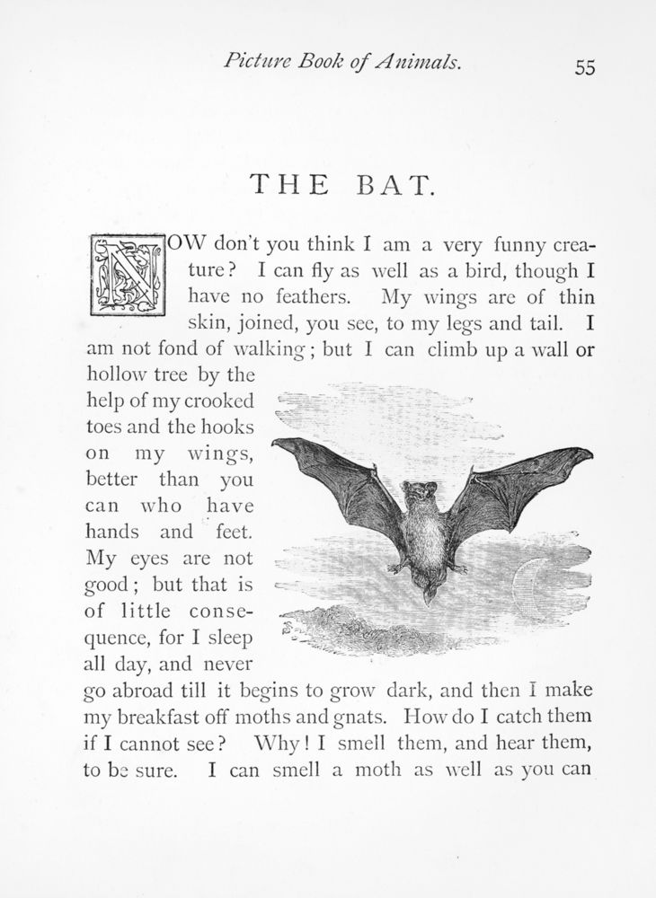 Scan 0062 of Picture book of animals