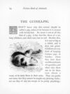Thumbnail 0071 of Picture book of animals