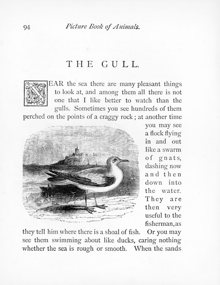 Scan 0101 of Picture book of animals