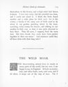 Thumbnail 0120 of Picture book of animals