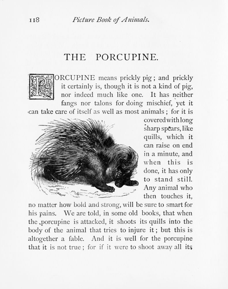 Scan 0125 of Picture book of animals