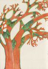 Thumbnail 0019 of زمين