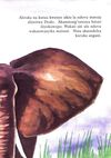 Thumbnail 0013 of Kibofu cha ajabu