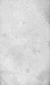 Thumbnail 0002 of Fanny, the flower-girl