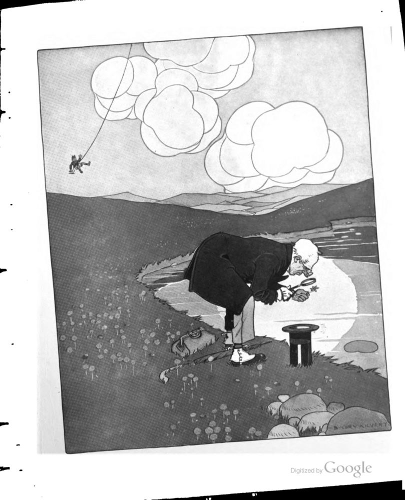 Scan 0017 of The kite book