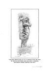 Thumbnail 0031 of Captains courageous