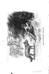 Thumbnail 0086 of The jungle book