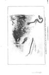 Thumbnail 0144 of The jungle book