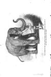 Thumbnail 0168 of The jungle book