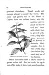 Thumbnail 0086 of Aunt Martha