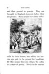 Thumbnail 0088 of Aunt Martha