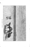 Thumbnail 0099 of Aunt Martha