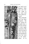 Thumbnail 0126 of Aunt Martha
