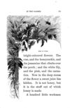 Thumbnail 0133 of Aunt Martha