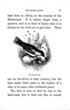 Thumbnail 0139 of Aunt Martha