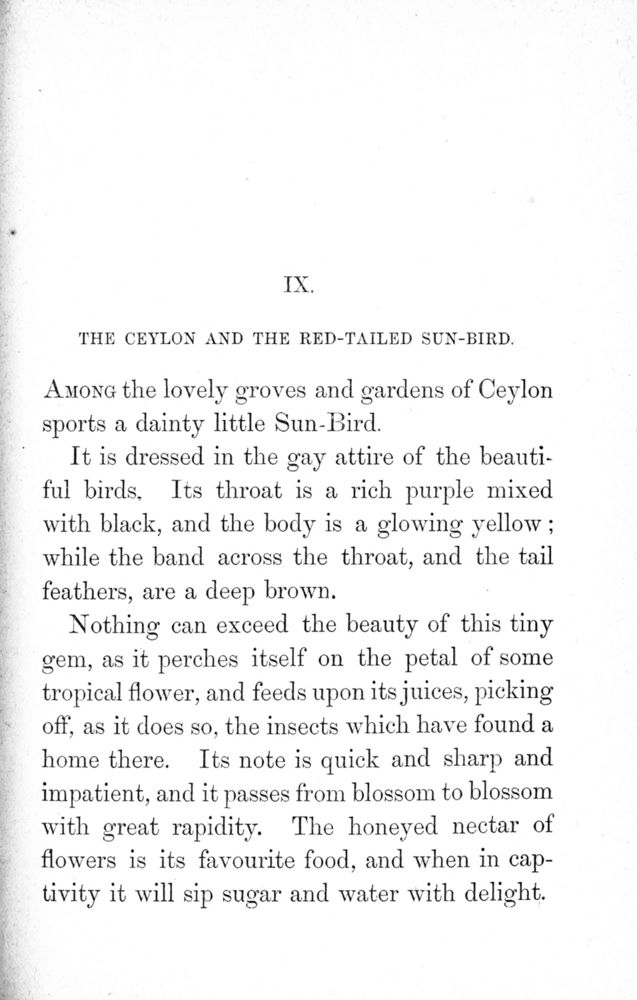 Scan 0049 of Birds of gay plumage
