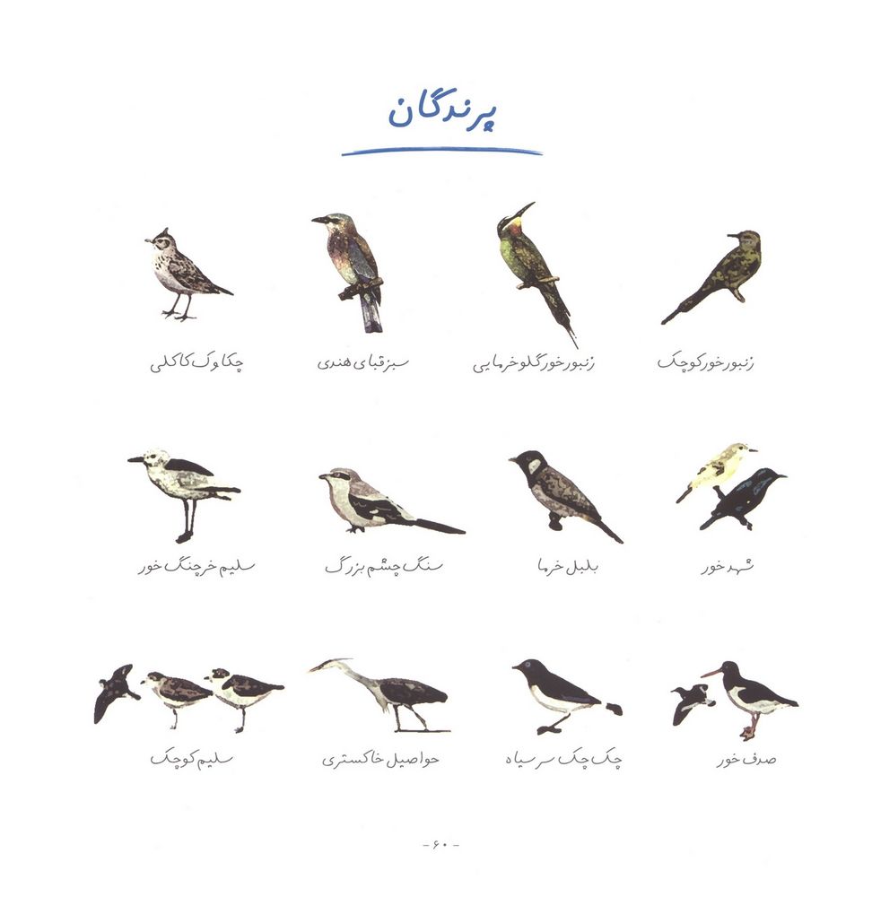 Scan 0064 of كيش
