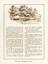 Thumbnail 0009 of Our country house