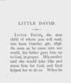 Thumbnail 0009 of The story of little David