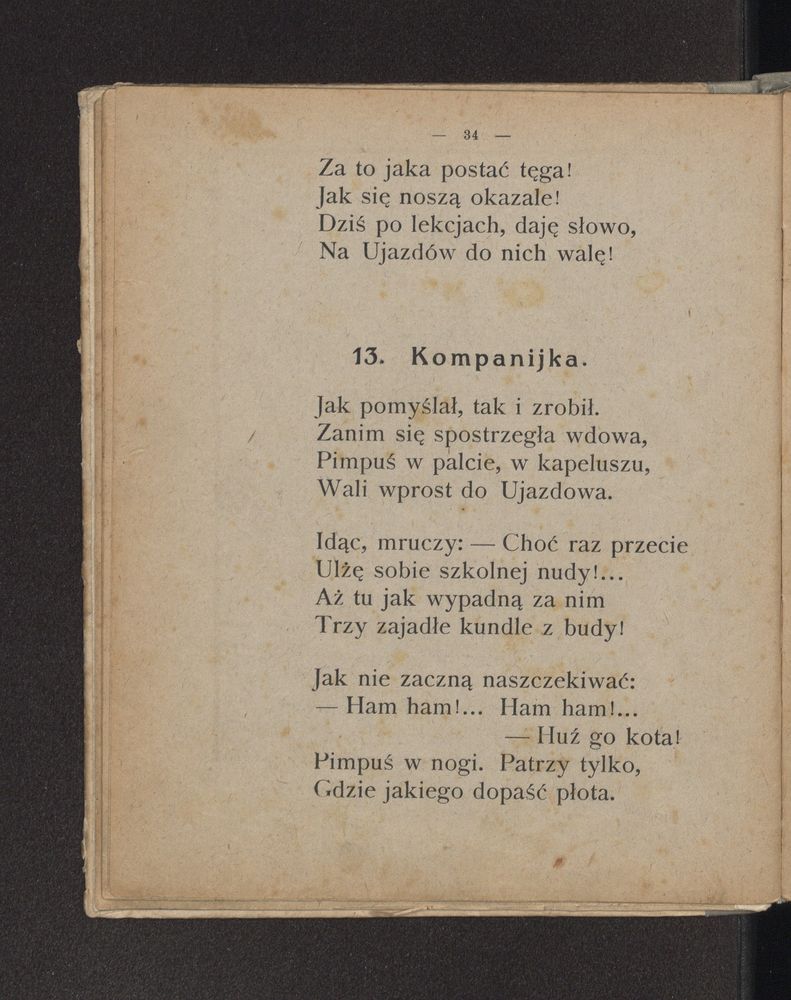 Scan 0038 of Szkolne przygody Pimpusia Sadełko
