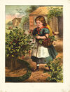 Thumbnail 0003 of The story of a pie