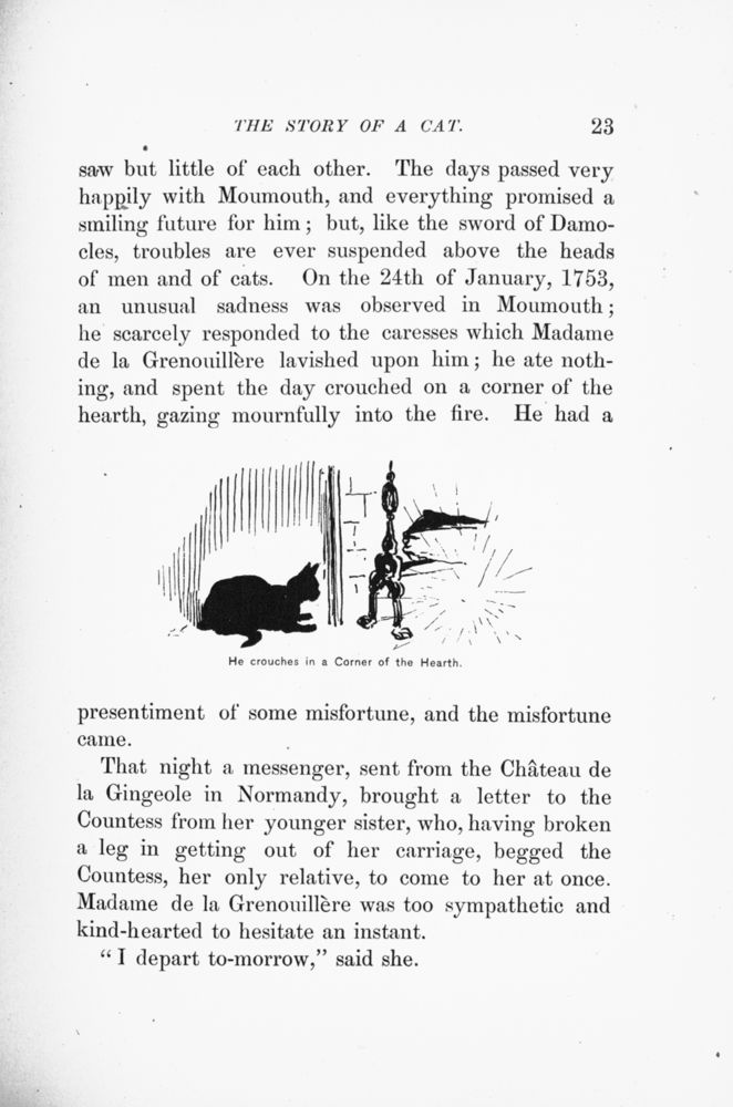 Scan 0028 of The story of a cat