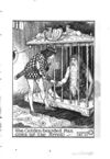 Thumbnail 0227 of The crimson fairy book