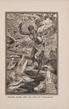 Thumbnail 0025 of The orange fairy book
