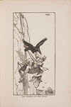 Thumbnail 0063 of The orange fairy book