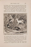 Thumbnail 0249 of The orange fairy book