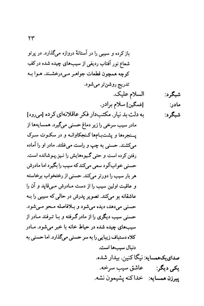 Scan 0025 of افسانه تنبل قهرمان