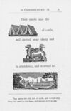 Thumbnail 0032 of Hieroglyphic Bible