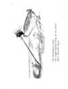 Thumbnail 0054 of Nonsense botany, and nonsense alphabets, etc. etc