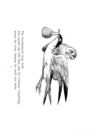 Thumbnail 0057 of Nonsense botany, and nonsense alphabets, etc. etc