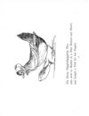 Thumbnail 0058 of Nonsense botany, and nonsense alphabets, etc. etc